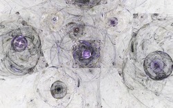 2015 07 17 Inexplicable 034-white.jpg